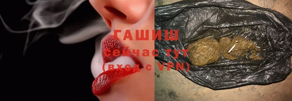 стаф Каменка