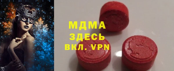 стаф Каменка
