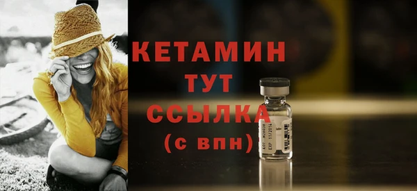 стаф Каменка
