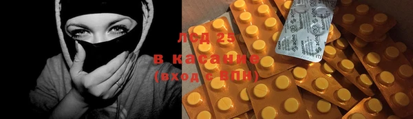 индика Касимов
