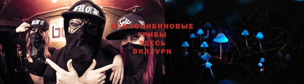 mdma Каменногорск