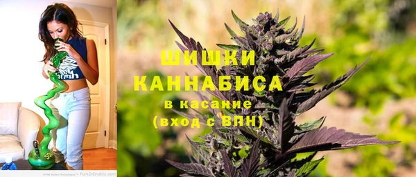 стаф Каменка