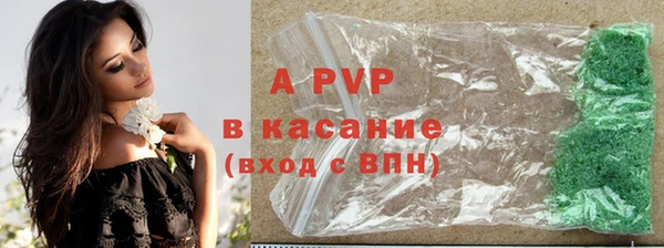 стаф Каменка