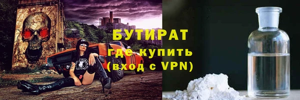 стаф Каменка