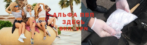 стаф Каменка