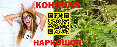 тгк Кингисепп