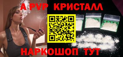 тгк Кингисепп