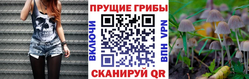Псилоцибиновые грибы ЛСД  Карпинск 